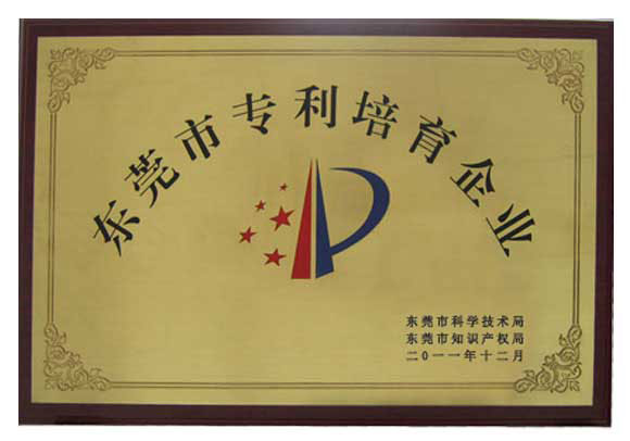 Dongguan patent enterprise